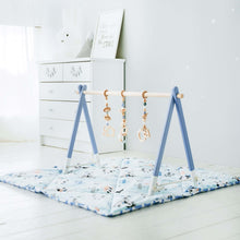 Load image into Gallery viewer, Bonobo Premium Baby Gym