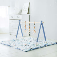 Load image into Gallery viewer, Bonobo Premium Baby Gym