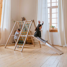 Load image into Gallery viewer, Panda Playground Toddler Jungle Gym