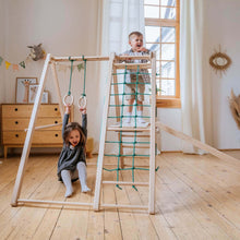 Load image into Gallery viewer, EZPlayToys Panda Playground Toddler Jungle Gym showing two young children happily climbing and swinging