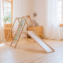 Load image into Gallery viewer, EZPlayToys Panda Playground Toddler Jungle Gym in natural wood finish