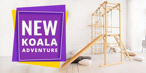 New Koala Adventure Is Out Now