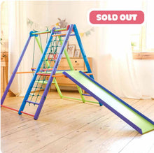 Load image into Gallery viewer, Panda Playground Toddler Jungle Gym
