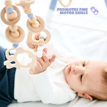 Load image into Gallery viewer, Bonobo Premium Baby Gym
