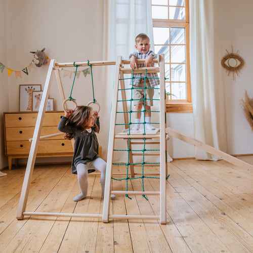 Panda Playground Toddler Jungle Gym