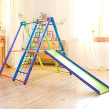 Load image into Gallery viewer, Panda Playground Toddler Jungle Gym
